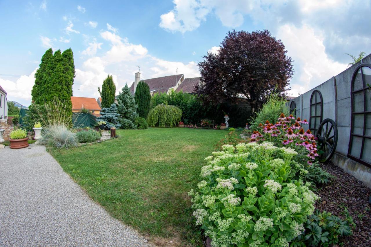 Penzion Holacký Dolní Dunajovice Exteriér fotografie